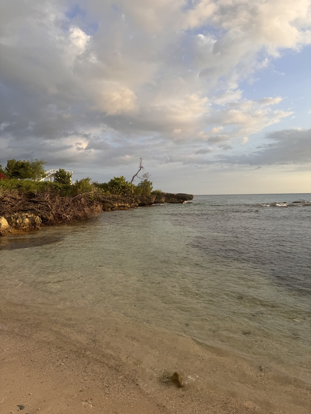 Clear shallow sea beside the Jamaican shoreline under an evening sky